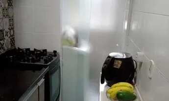 Imagem 6: APARTAMENTO 02 DORMS JARDIM SALETE - Taboão da Serra - SP