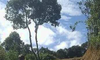 Imagem 7: Vendo sítio anitápolis SC 3000 m 40 de frente 75 de fundo