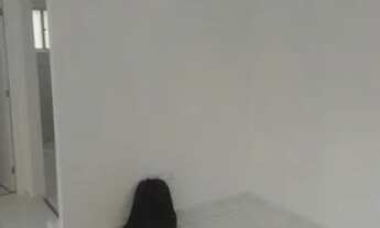 Imagem 4: Alugo apartamento