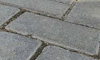 Imagem 5: Sitio em Domingos Martins