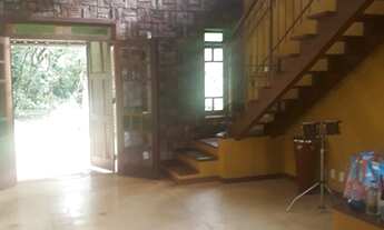 Imagem 2: A mais bela Violeta