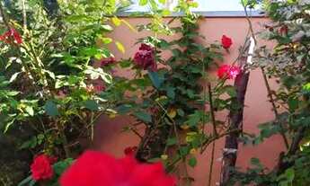 Imagem 2: Rancho praias de Novo Horizonte