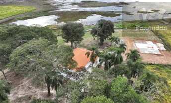 Imagem 3: Fazenda na Região de Angatuba 60 alqs toda em laranja