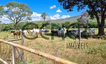 Imagem 4: 2464 Ótima fazenda de 384 ha pronta para pecuaria e partes boa para lavouras