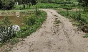 Imagem 5: Fazendinhas de 2hectares com terra boa para cultivo, em fortuna de minas
