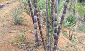 Imagem 6: Sitio a venda . Chácara com venda por R$250.000