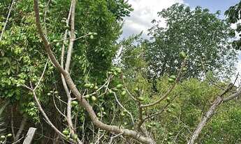 Imagem 2: Vendo este Lote Terreno / lote com venda por R$75.000