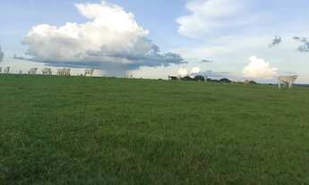 Imagem 5: Fazenda de arrendamento 2.000 hec em Caiapônia Go. Grade combinar