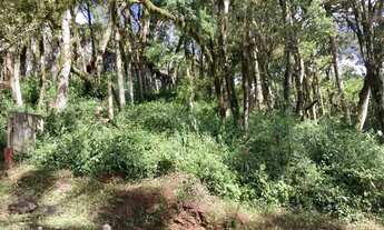 Imagem 5: Terreno em Condomínio - Bairro Pinheiro Grosso