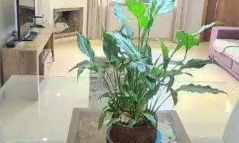 Imagem: Casa para venda com 3 dormitórios, sendo