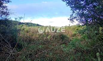 Imagem 6: Maravilhosa Chácara à venda, Colônia Murici, São José dos Pinhais, PR