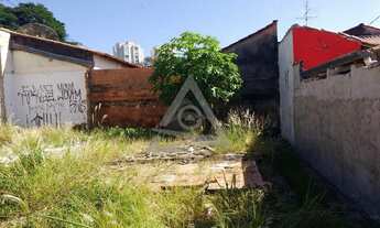 Imagem 5: Terreno à venda em Campinas, Cambuí, com 130 m²