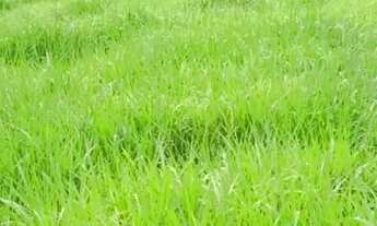 Imagem 3: Chácara Chácara com venda por R$150.000