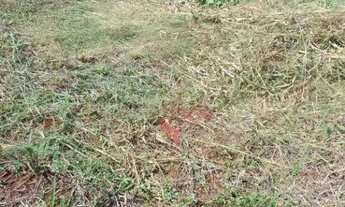 Imagem 5: Terreno à Venda no Villas do Mirante em Ribeirão Preto. Ótima Localização