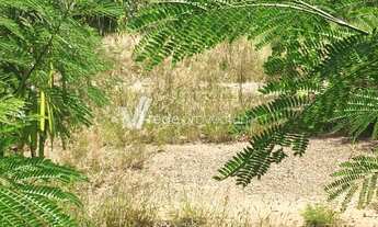 Imagem 5: Terreno - Cidade Satélite Íris - Campinas