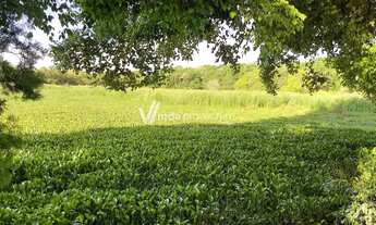 Imagem 3: Chácara - Santa Terezinha - Paulínia