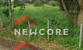 Imagem 6: Lote em Avenida Arnaldo Felipe Sbruzzi - Piracangaguá - Taubaté/SP