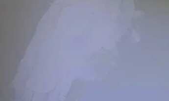 Imagem 5: Vendo casa ? Casa com 3 dormitórios