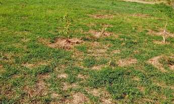Imagem 3: Terreno de chácara nós pires de cima Limeira _SP