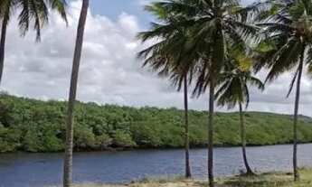 Imagem 3: Villaredo Aruana Lote com 344 M2