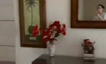 Imagem: APARTAMENTO para LOCAÇÃO ANUAL ITAPEMA