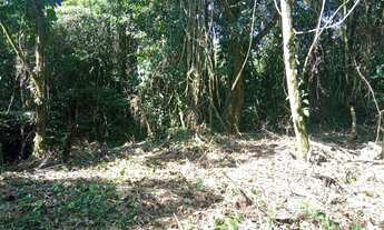 Imagem: Vendo Terreno Ubatumirim/ Ubatuba/ SP