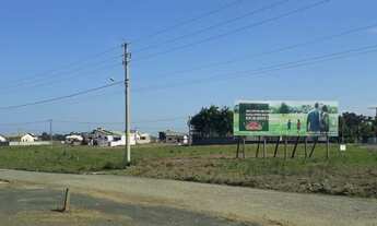 Imagem 4: Terreno em Forquilhinha - loteamento Antônio Horr