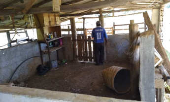 Imagem 4: Chacara vila guay ibaiti pr