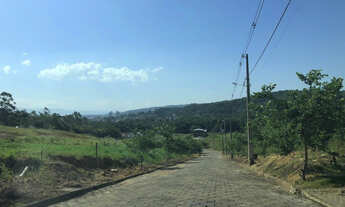 Imagem 3: Lotes no Loteamento Dona Irene, Criciúma