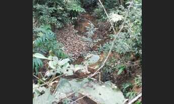 Imagem 3: Terreno 5 Hectares Entre Rios de Minas