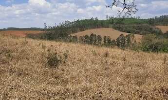 Imagem 4: Terreno 5 Hectares Entre Rios de Minas
