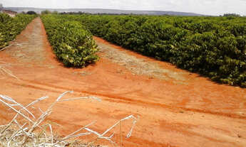 Imagem 2: FAZENDA ALTAMENTE PRODUTIVA COM 470HECTARES, CAFE E SOJA IRRIGADA!!