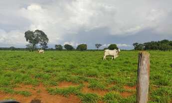 Imagem: Fazenda de 288 alq no vale do Araguaia -TO