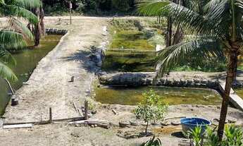 Imagem 2: Sítio km 42 Am-010