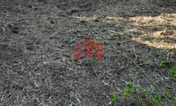 Imagem 3: Terreno à venda Alvinópolis, Atibaia - SP