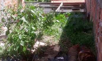 Imagem: Vendo hum ótimo terreno