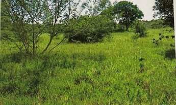 Imagem 2: Fazenda pântano Chapada Diamantina