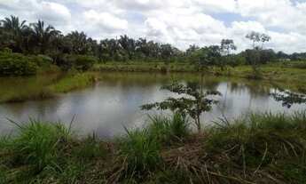 Imagem 4: Terreno em itapecuru