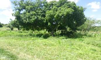 Imagem 2: Fazenda com 290 hectares entre Macaíba e são Pedro do Potengi