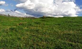 Imagem 4: Fazenda em Itapira, interior de São Paulo