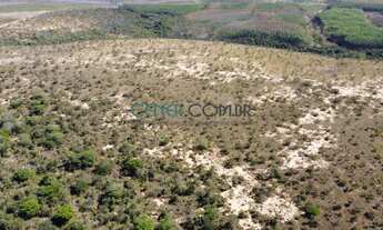 Imagem 3: FAZENDA DE 745 HA EM ESTADO BRUTO BOA PARA PLANTIO DE EUCALIPTO E OUTRAS
