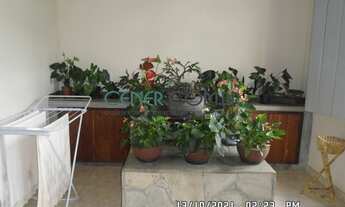 Imagem 7: IMPONENTE FAZENDA DE 282,50 HA COM LINDA SEDE CENTENÁRIA E ALTA PRODUÇÃO DE LEITE E EUCALI