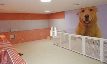 Imagem 7: APARTAMENTO 3 DORMITÓRIOS, 2 SUÍTES, 1 VAGAS, À VENDA EM SÃO PAULO