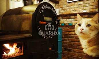 Imagem 7: Casa para comprar no bairro Hípica - Porto Alegre com 3 quartos