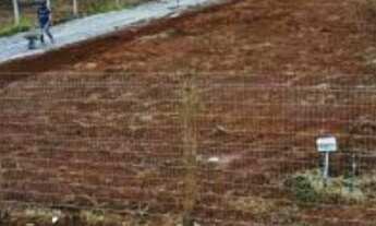 Imagem 2: Confins - Loteamento/Condomínio - Condomínio Bernardino