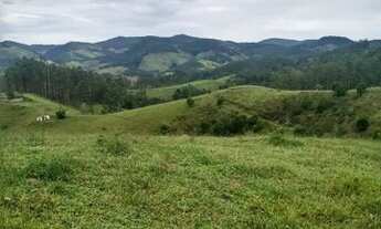 Imagem 7: Mega promoção chácaras de 5000m² por apenas R$ 60.000,00 mil reais à vista parcelamos tam
