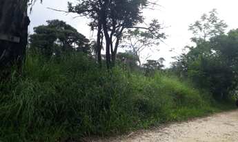 Imagem 2: Chácara no Flores e Floresta em Betim