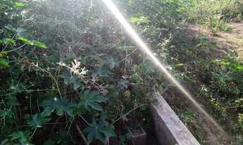 Imagem 4: Vendo chácara de 1200 metros