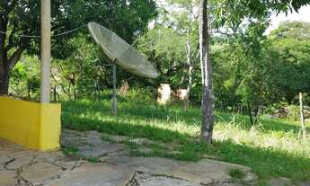 Imagem 6: Oportunidade Sitio - Inhames