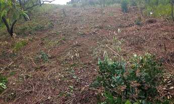 Imagem 5: Vendo terreno Terreno / lote com venda por R$4.999